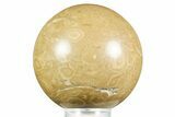 Polished Bird's Eye Jasper (Rhyolite) Sphere - Utah #371225-1